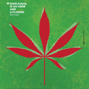 The Medical Cannabis