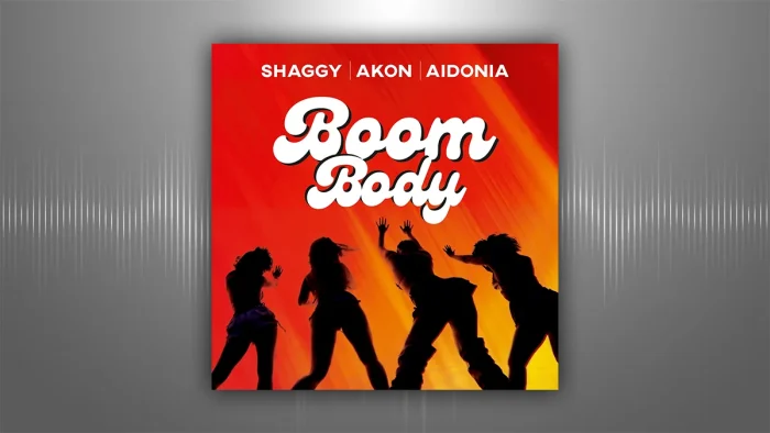 Shaggy - Akon - Aidonia | Boom Body