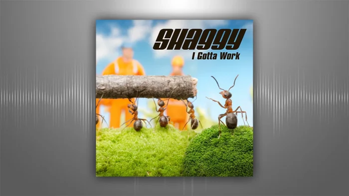 Shaggy | I gotta work