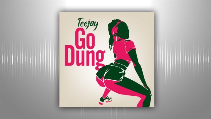 Teejay - Go Dung - Single cover for VP Records